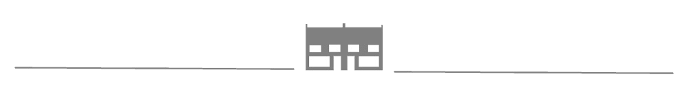 bottom logo VEMS